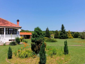 Apartmani Ćosić